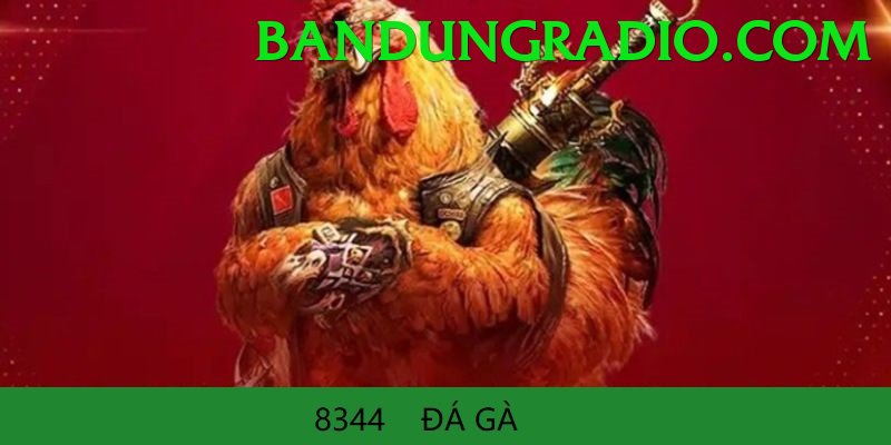 Trường Đấu Đá Gà Chuyên Nghiệp