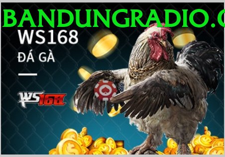 Cách Đọc Kèo Đá Gà